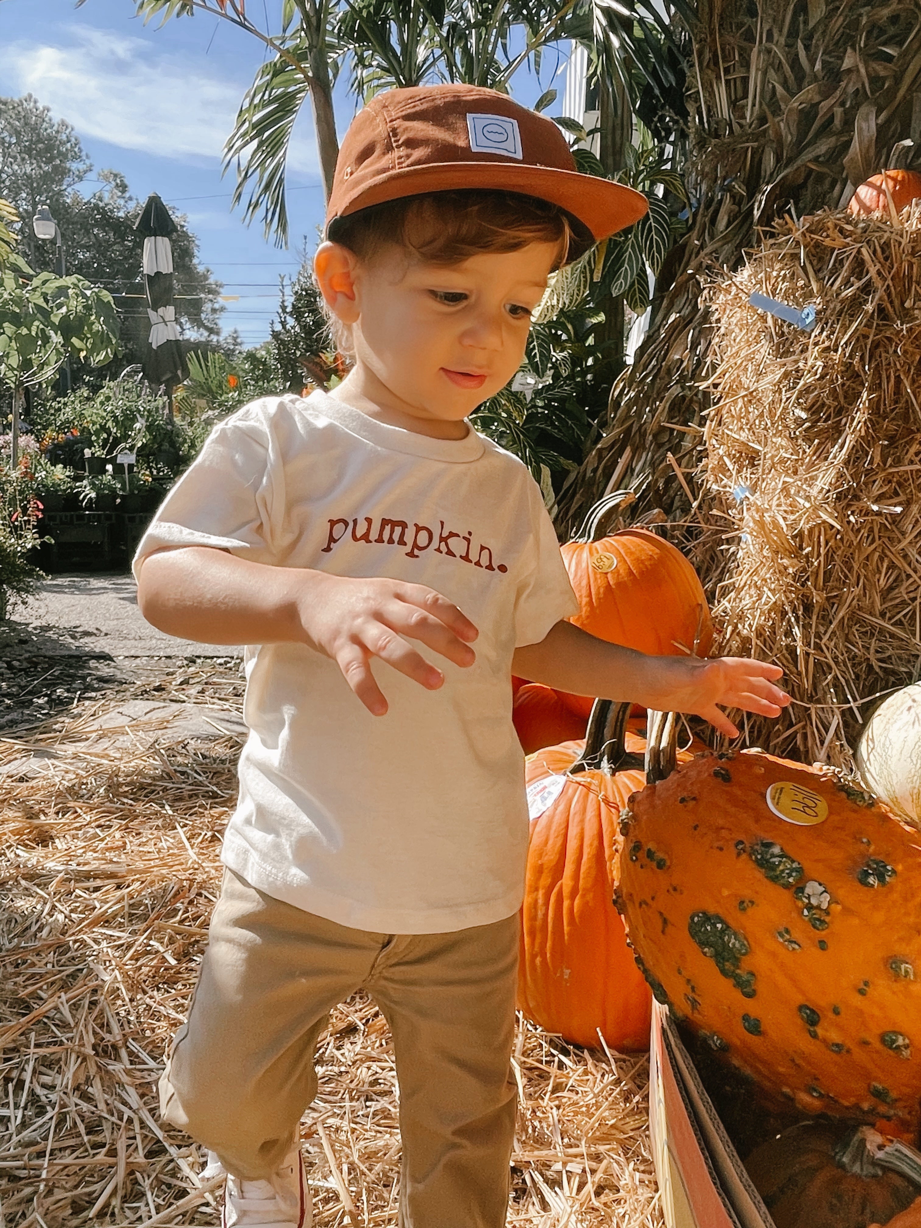 Pumpkin Tee